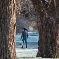 Columbia Pro Tree Service Image